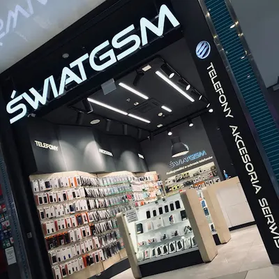 Świat GSM - CH 3 Stawy